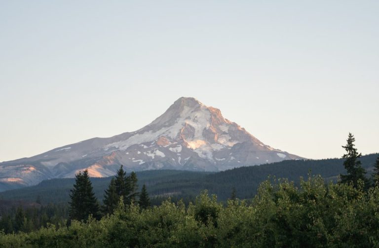Ricky and Olivia – Mt. Hood, Oregon Wedding